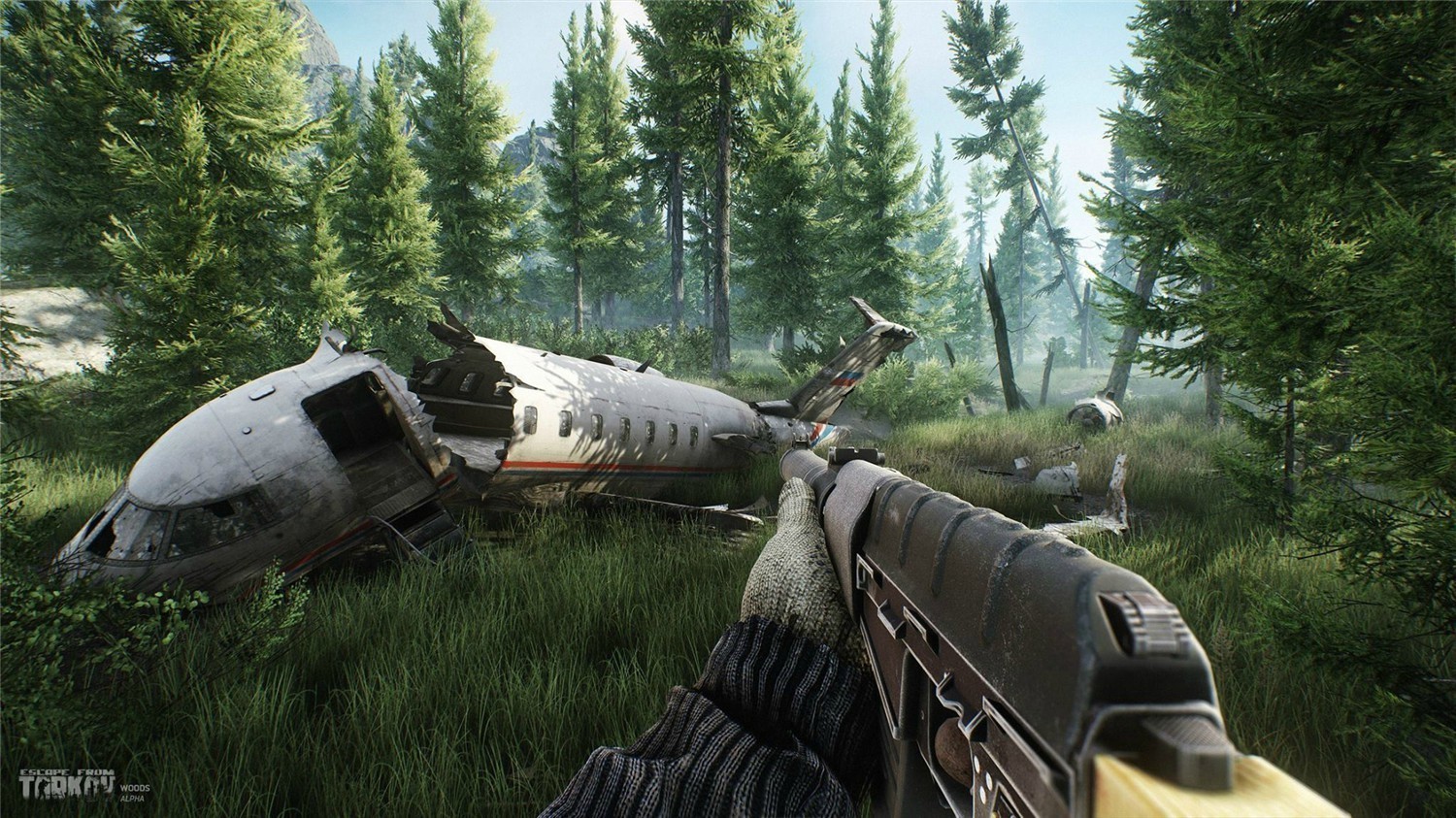 图片[7]-逃离塔科夫/Escape from Tarkov【免安装绿色中文版】-GameLLL