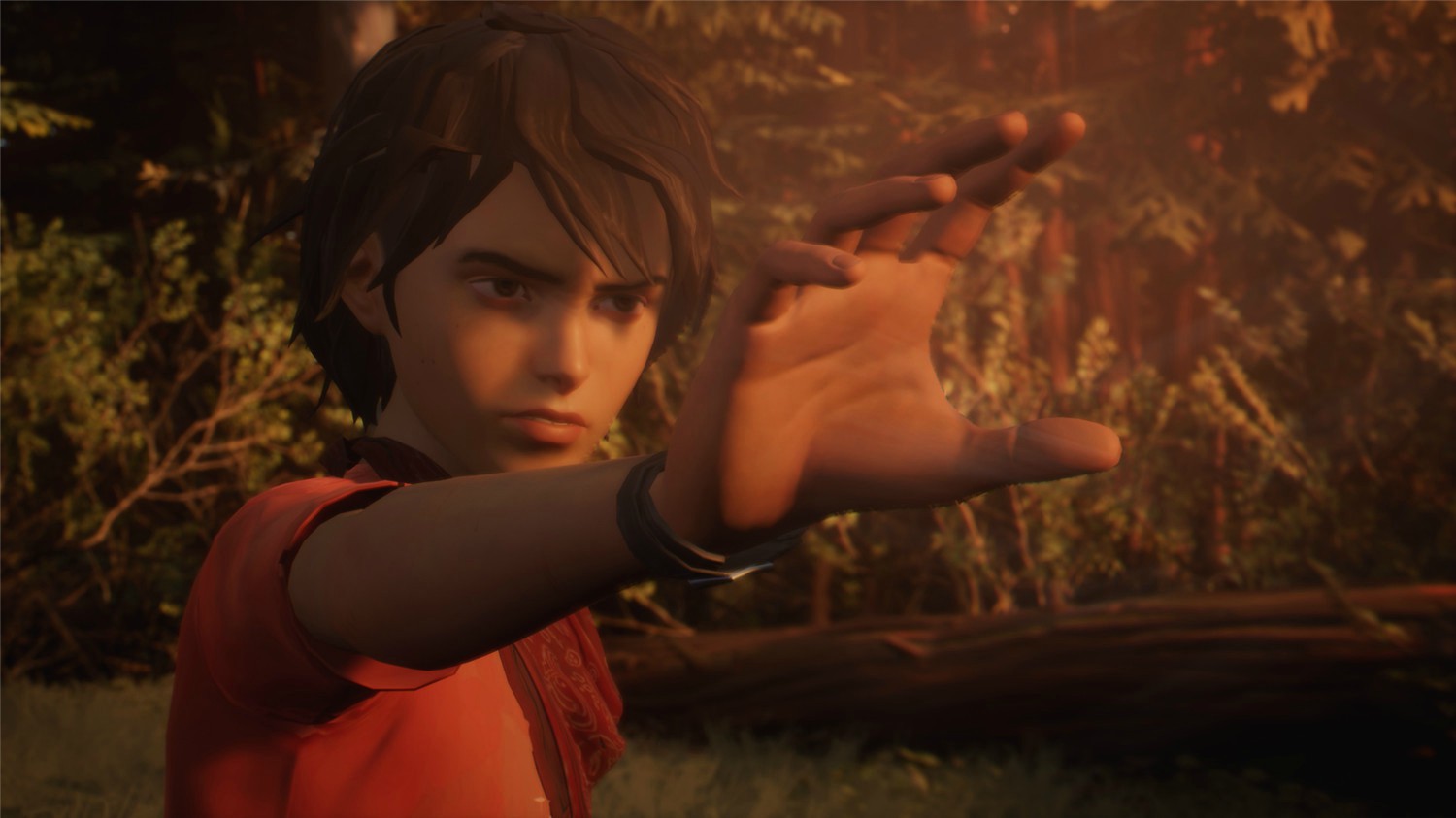 图片[3]-奇异人生2/Life is Strange 2【免安装绿色中文版】-GameLLL